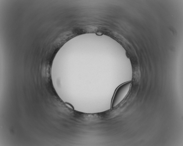 X0000113110525200909181631