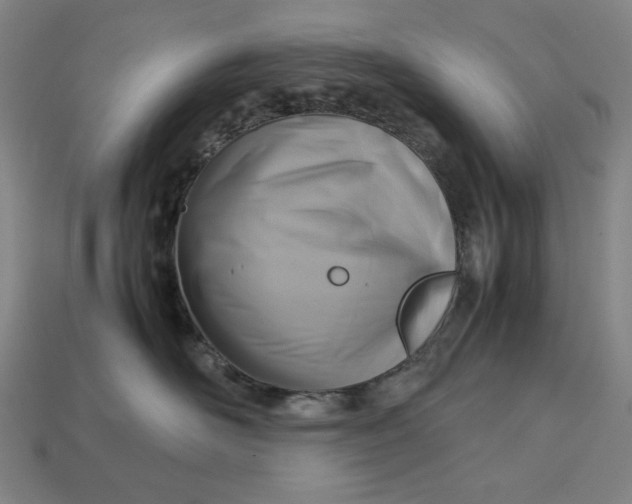 X0000113110526200909181631