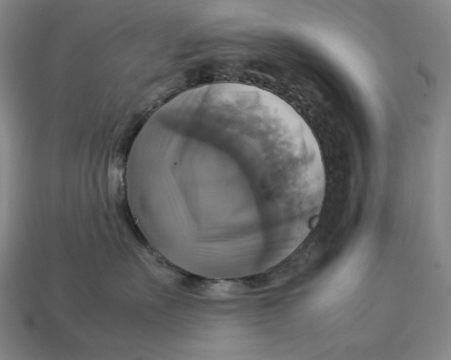 X0000113110527200909181631