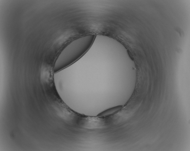 X0000113110528200909181631