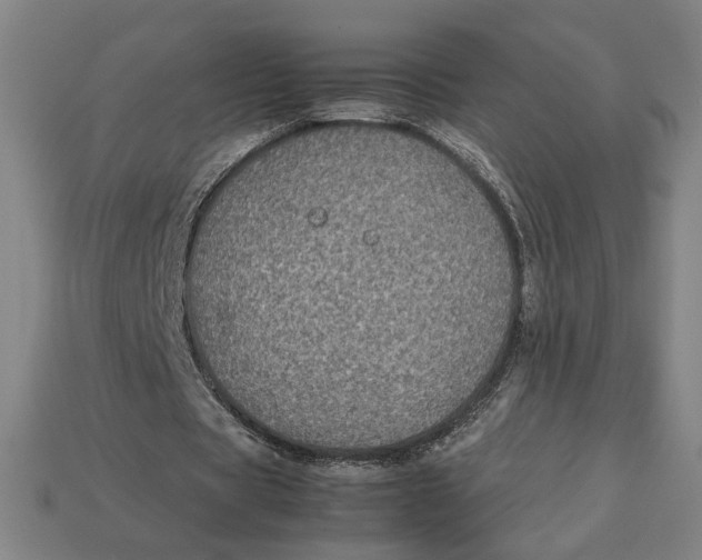 X0000113110529200909181630