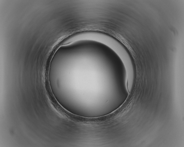 X0000113110530200909181630