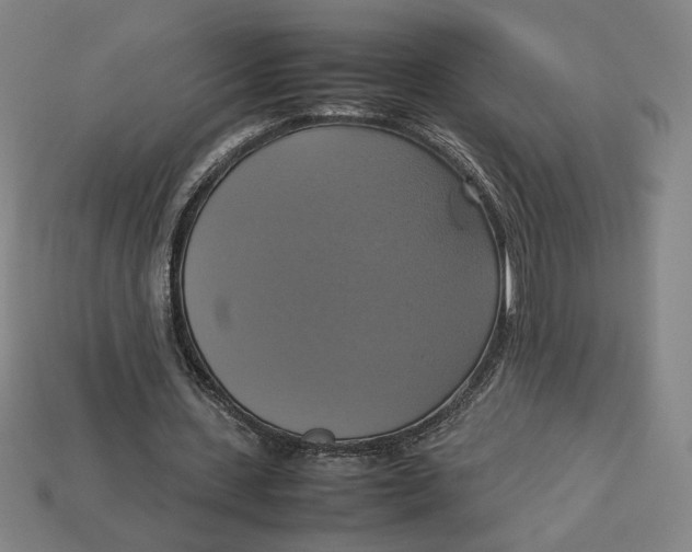 X0000113110531200909181630