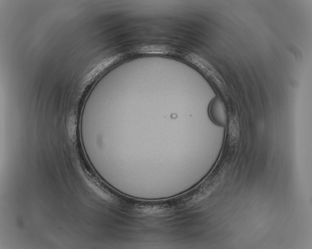 X0000113110533200909181630