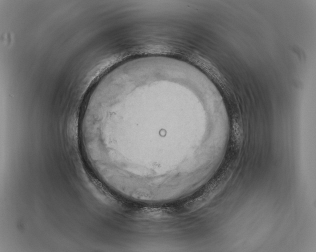 X0000113110534200909181630