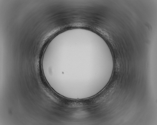 X0000113110535200909181630