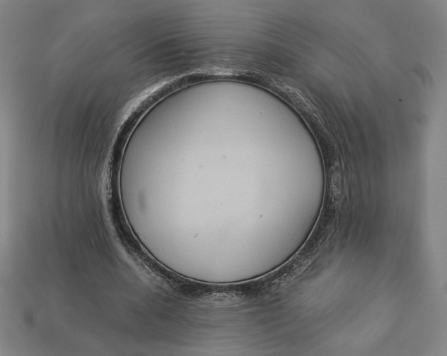 X0000113110536200909181630