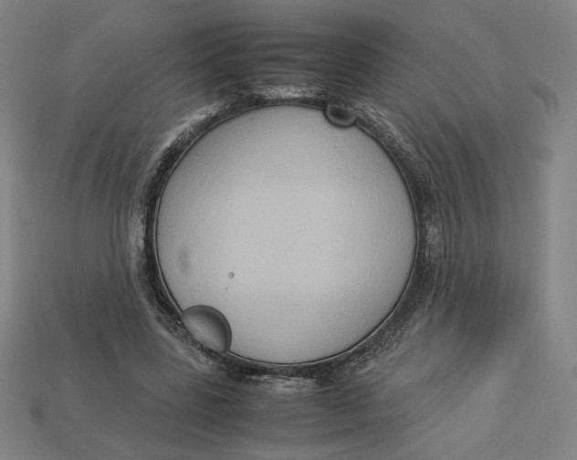 X0000113110539200909181630