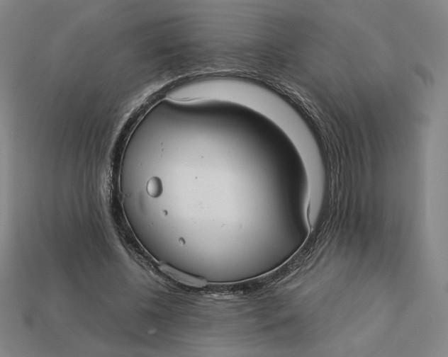 X0000113110540200909181630