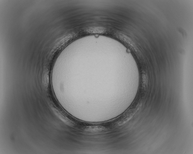 X0000113110541200909181630