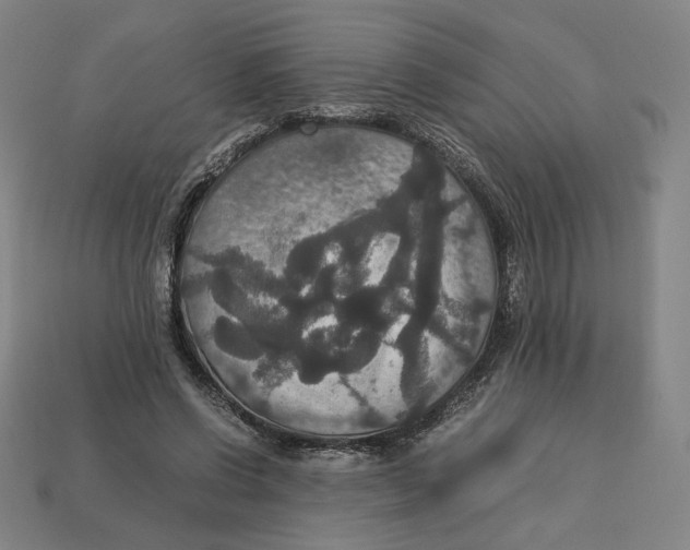 X0000113110542200909181630