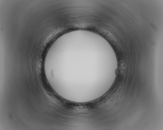 X0000113110544200909181630