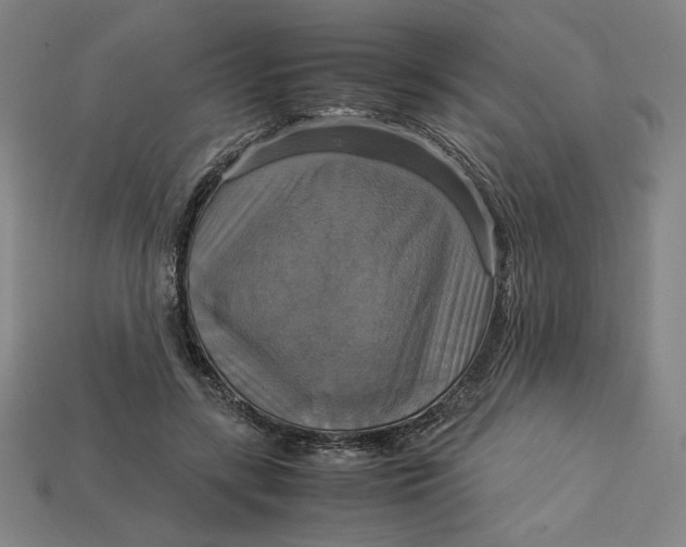 X0000113110547200909181631