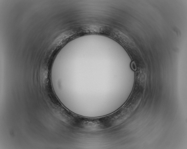 X0000113110548200909181631