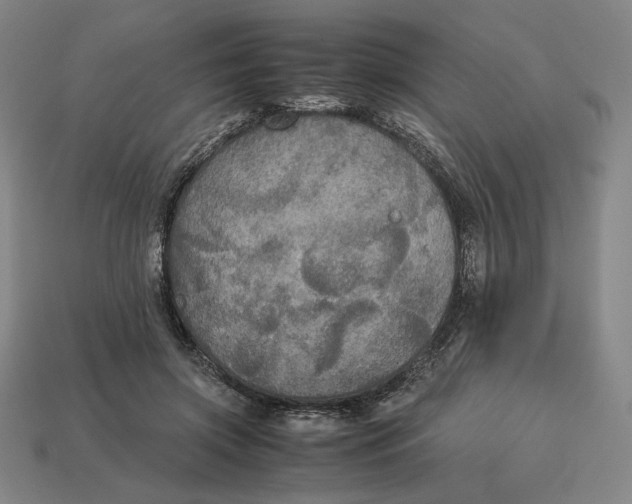 X0000113110549200909181631