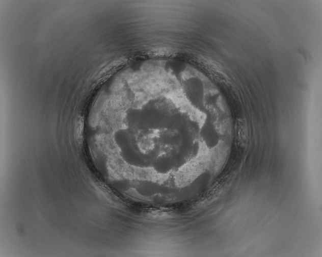 X0000113110550200909181631