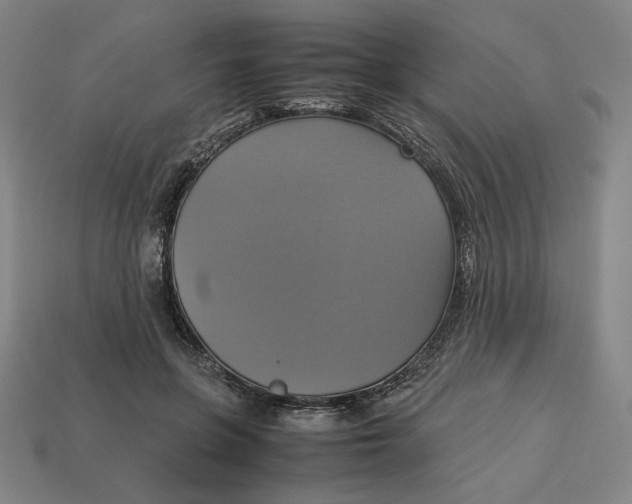 X0000113110551200909181631