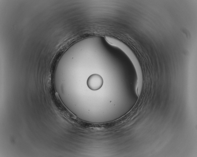 X0000113110552200909181631