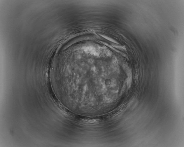 X0000113110553200909181631