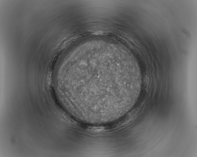 X0000113110554200909181631