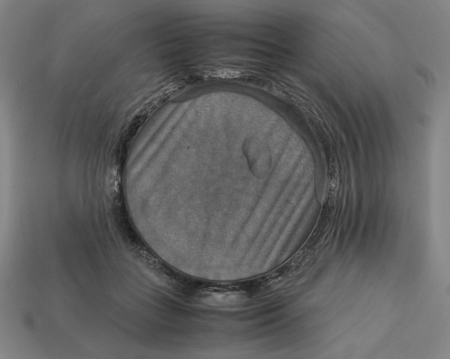 X0000113110555200909181631
