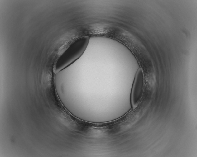 X0000113110556200909181631