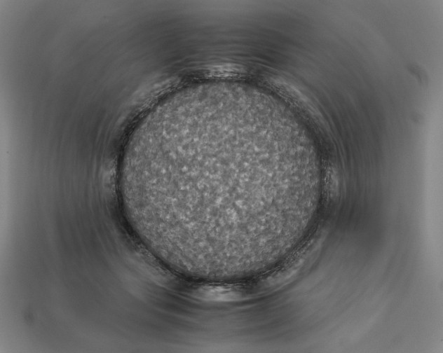 X0000113110557200909181631