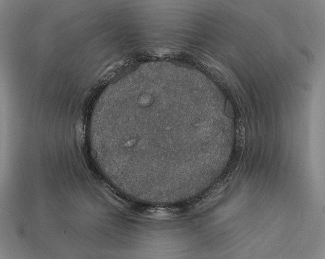 X0000113110558200909181631