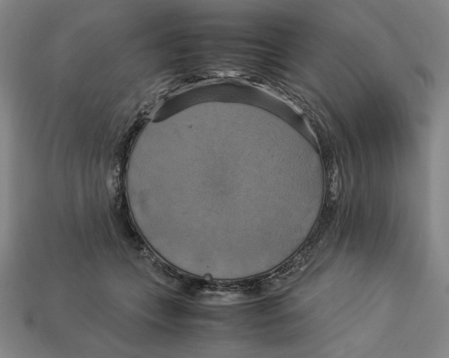 X0000113110559200909181631