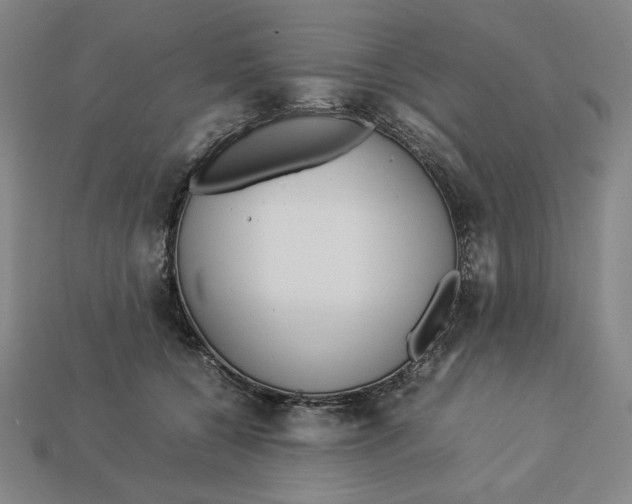 X0000113110560200909181631
