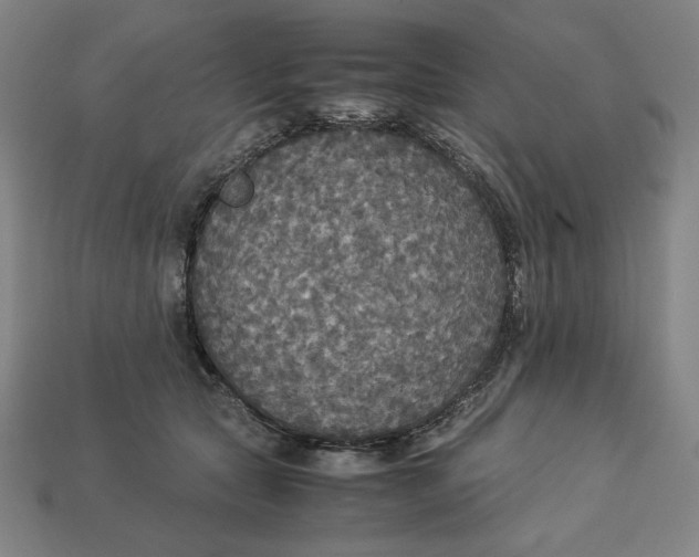 X0000113110561200909181631