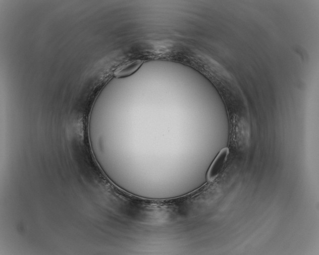 X0000113110562200909181631