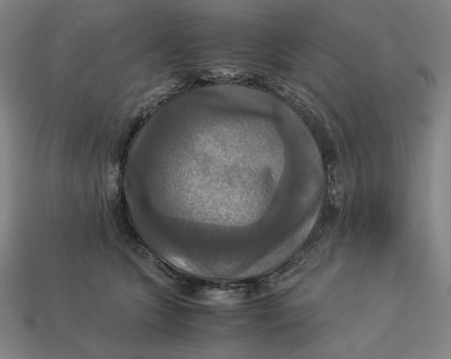 X0000113110563200909181631