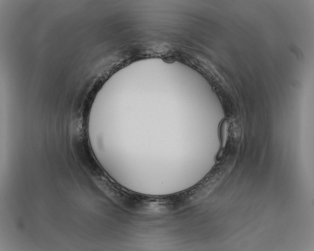 X0000113110564200909181631