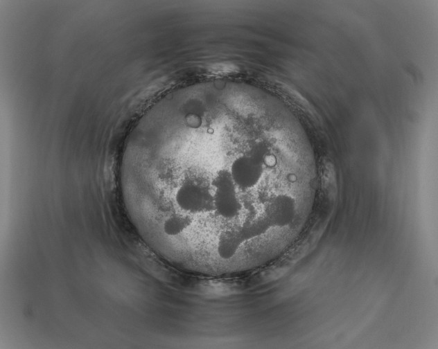 X0000113110565200909181631
