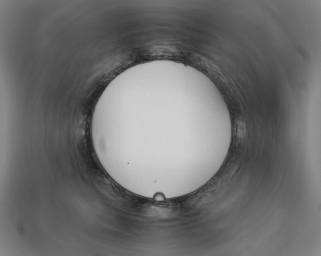 X0000113110567200909181631