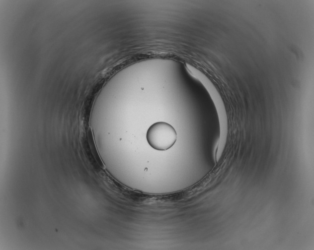 X0000113110568200909181631