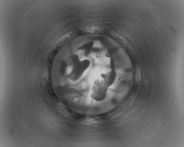 X0000113110569200909181631