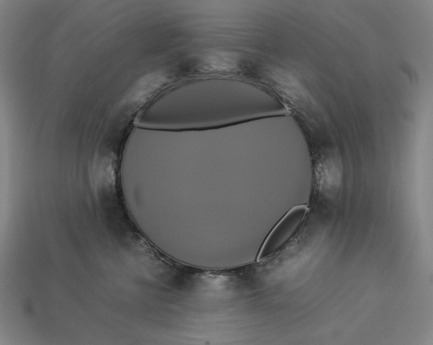 X0000113110570200909181631