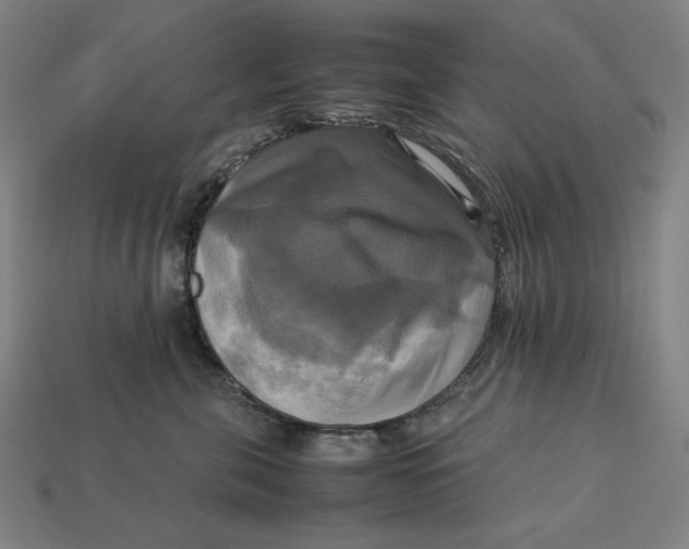 X0000113110571200909181631
