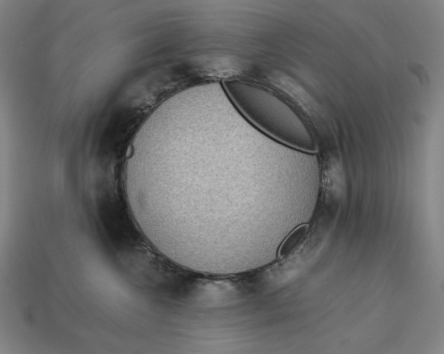 X0000113110572200909181631