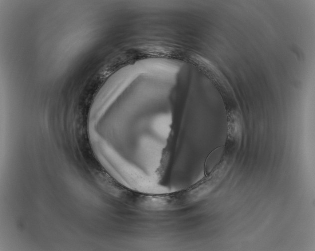 X0000113110573200909181631