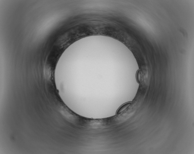 X0000113110574200909181631
