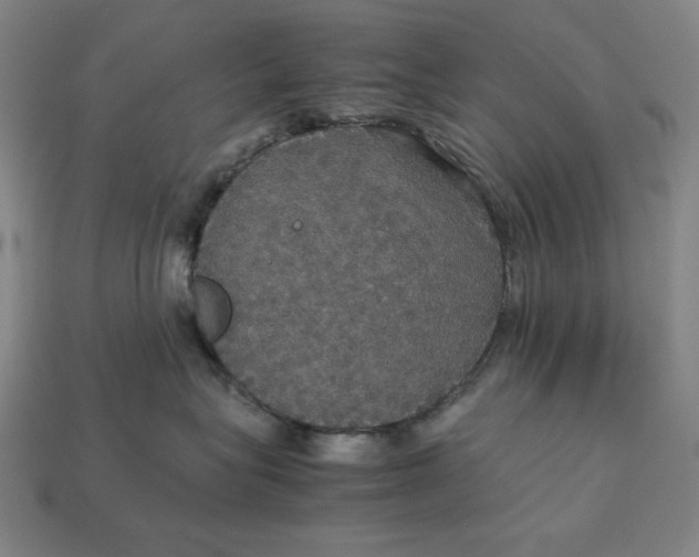 X0000113110575200909181631