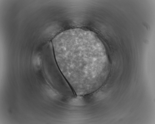 X0000113110576200909181631