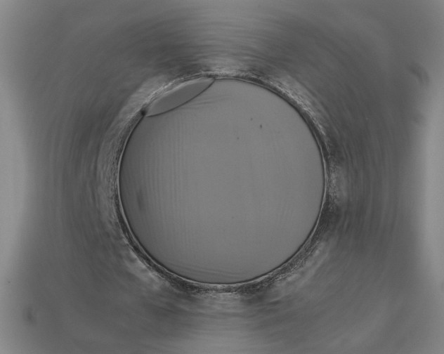 X0000113110577200909181630