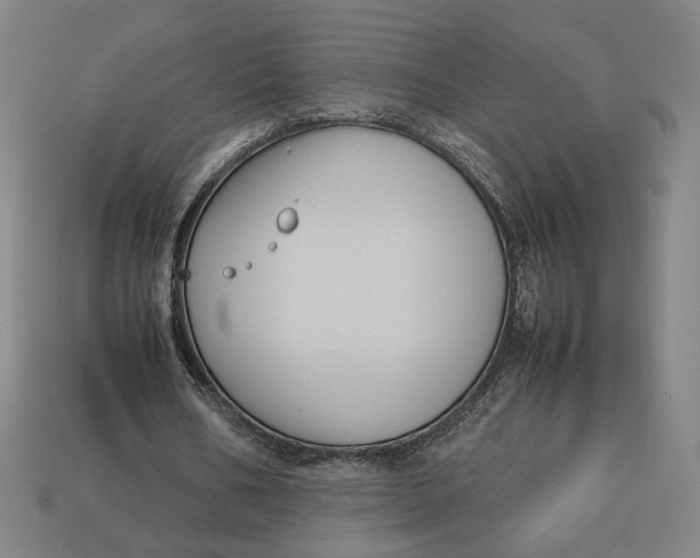 X0000113110578200909181630