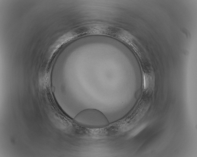 X0000113110579200909181630