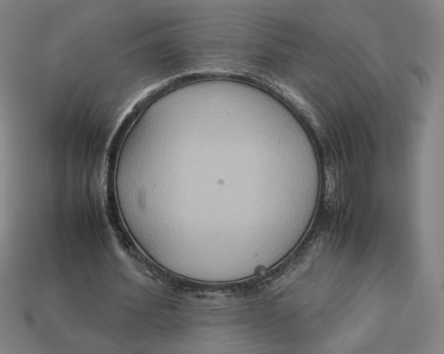 X0000113110580200909181630