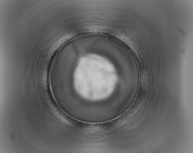X0000113110581200909181630